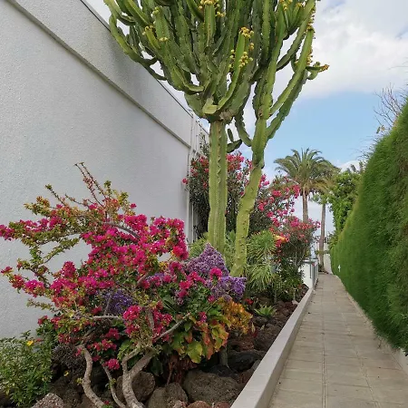 Seaside Bungalow, Avenida De Alemania, 25 Apartamento *